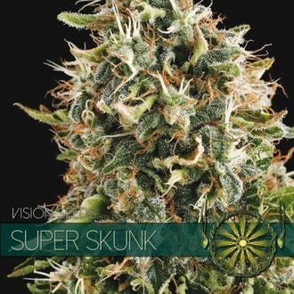 Super Skunk (Vision Seeds) feminizovan&aacute;