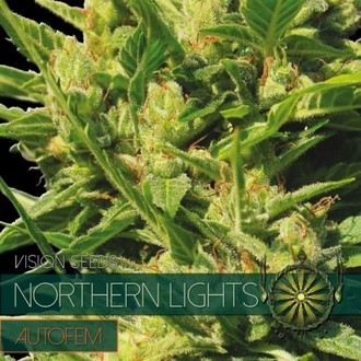 Northern Lights Samonakv&eacute;tac&iacute; (Vision Seeds) feminizovan&aacute;
