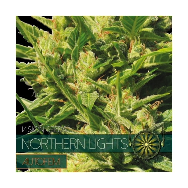 Northern Lights Samonakvétací (Vision Seeds) feminizovaná