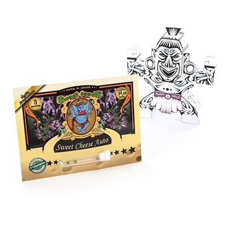 Sweet Cheese Auto (Sweet Seeds) feminizovaná