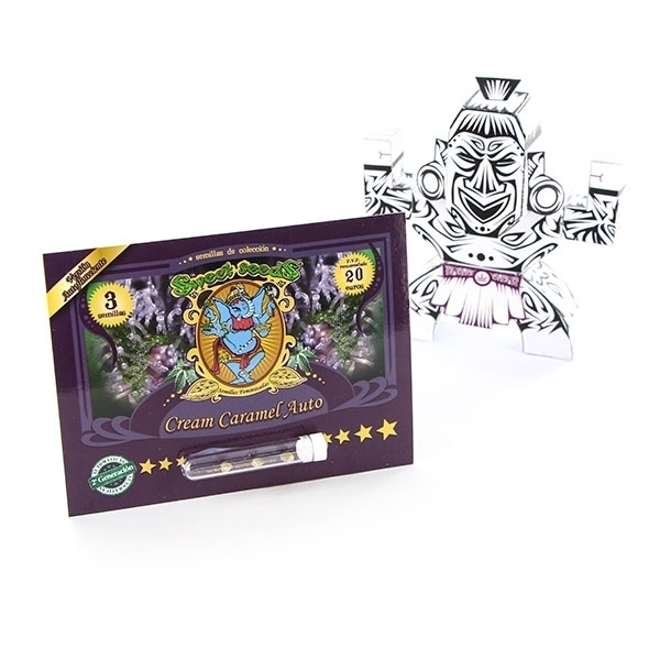 Cream Caramel Auto (Sweet Seeds) feminizovaná