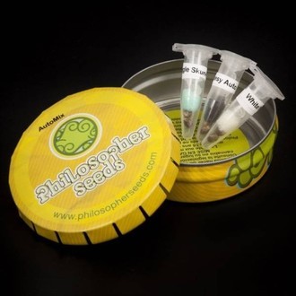 Auto Mix (Philosopher Seeds) feminizovaná