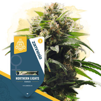 Northern Lights (Zamnesia Seeds) feminizovan&aacute;