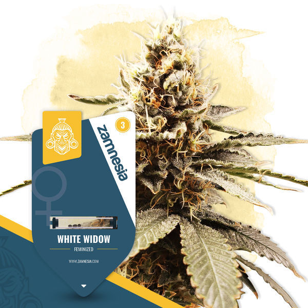White Widow (Zamnesia Seeds) feminizovaná