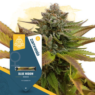 Blue Widow (Zamnesia Seeds) feminizovan&aacute;