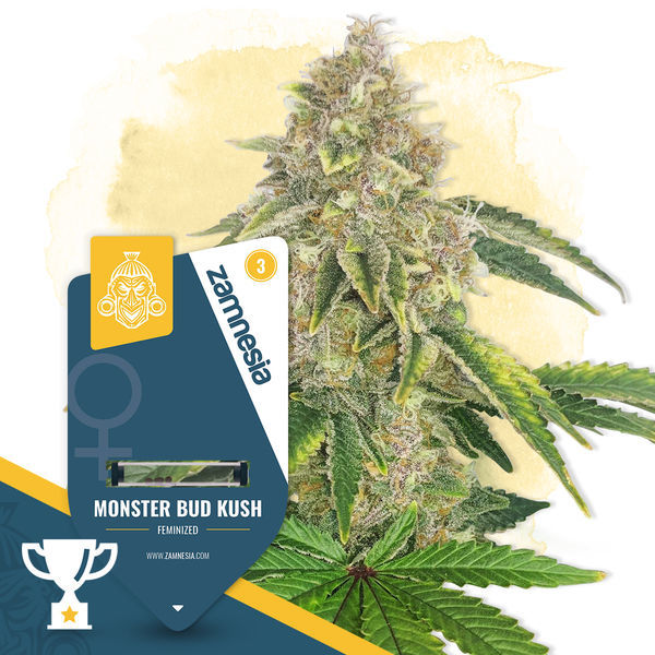 Monster Bud Kush (Zamnesia Seeds) feminizovaná