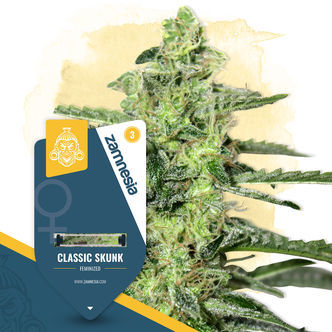 Classic Skunk (Zamnesia Seeds) feminizovan&aacute;