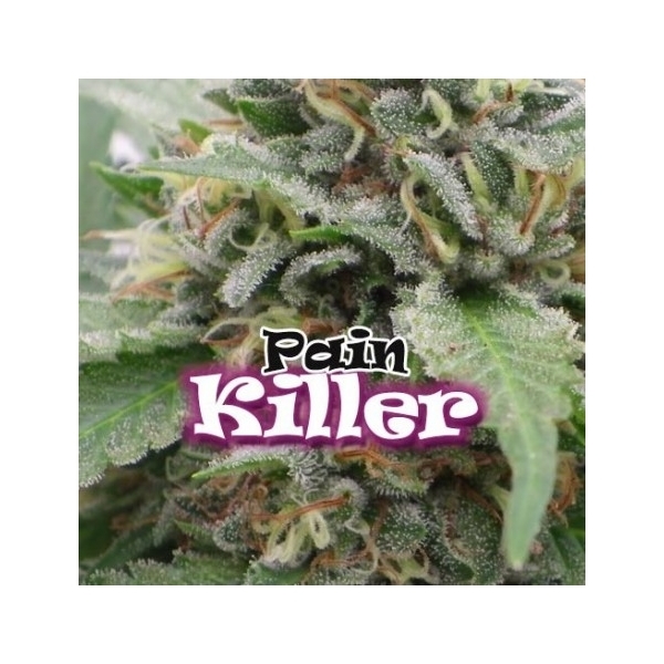 PainKiller (Dr. Underground) feminizovaná