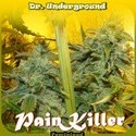 PainKiller (Dr. Underground) feminizovaná