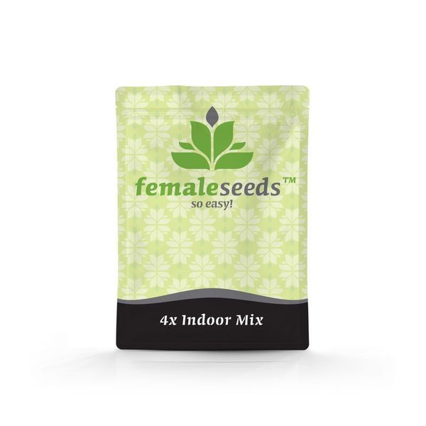 Indoor Mix (Female Seeds) feminizovaná