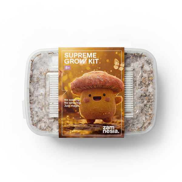 Zamnesia SUPREME grow kit „B+“