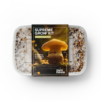 Pěstební sada Zamnesia SUPREME „Golden Teacher“