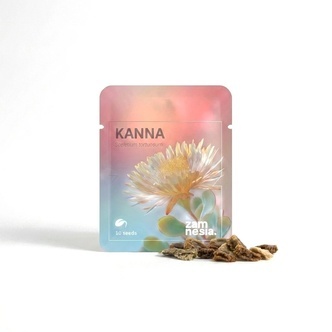 Kanna (Sceletium tortuosum) &ndash; 10 sem&iacute;nek