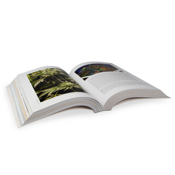 Bible pěstování konopí (anglicky – 3. vydání)