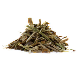 Třezalka tečkovan&aacute;