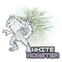 White Monster Samonakvétací (Zamnesia Seeds) feminizovaná