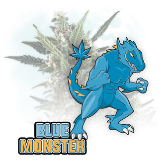 Blue Monster Samonakvétací (Zamnesia Seeds) feminizovaná