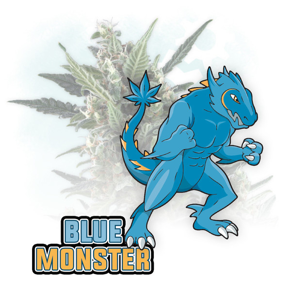 Blue Monster Samonakvétací (Zamnesia Seeds) feminizovaná