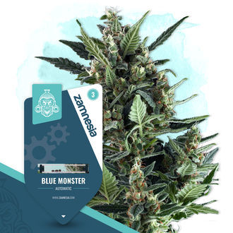 Blue Monster Samonakv&eacute;tac&iacute; (Zamnesia Seeds) feminizovan&aacute;