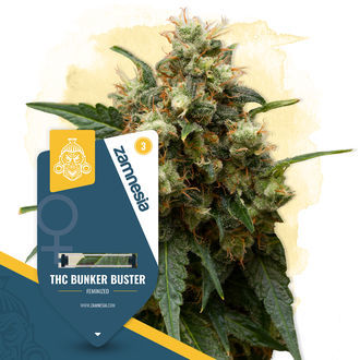 THC Bunker Buster (Zamnesia Seeds) feminizovan&aacute;