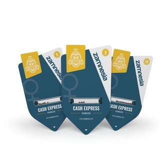 Cash Express (Zamnesia Seeds) feminizovaná