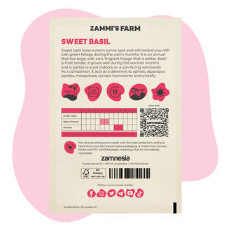 Balíček Sweet Basil (Ocimum basilicum) Buddy Pack