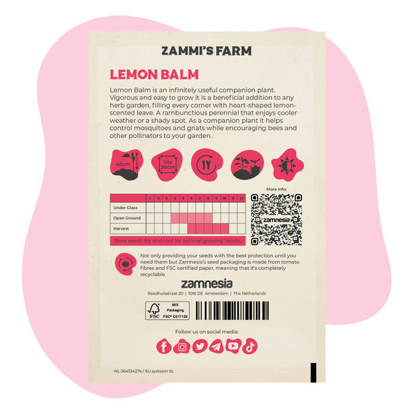 Meduňka lékařská (Melissa officinalis) Buddy Pack