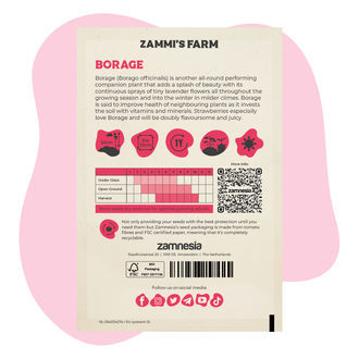 Brutnák lékařský (Borago officinalis) Buddy Pack