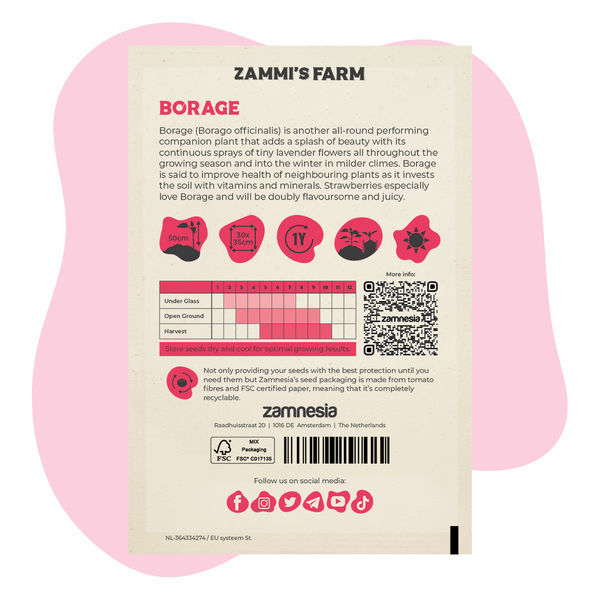 Brutnák lékařský (Borago officinalis) Buddy Pack