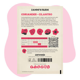 Koriandr setý (Coriandrum sativum) Buddy Pack