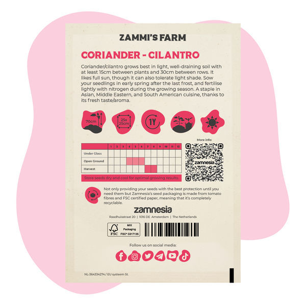 Koriandr setý (Coriandrum sativum) Buddy Pack