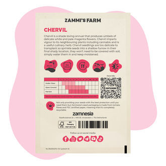 Kerblík (Anthriscus cerefolium) Buddy Pack