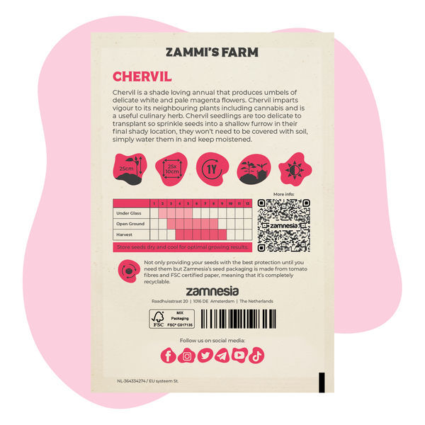 Kerblík (Anthriscus cerefolium) Buddy Pack