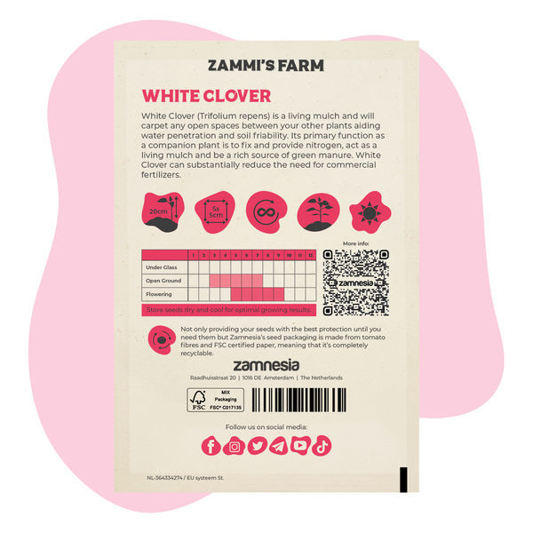 Jetel plazivý (Trifolium repens) Buddy Pack