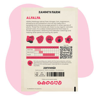 Tolice vojtěška (Medicago sativa) Buddy Pack