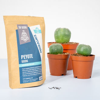 Peyotl (Lophophora williamsii) 20 semínek