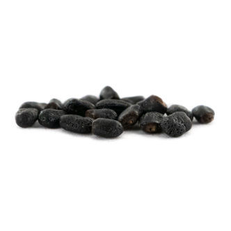 Bolivijsk&aacute; pochodeň (Echinopsis lageniformis) 20 semen