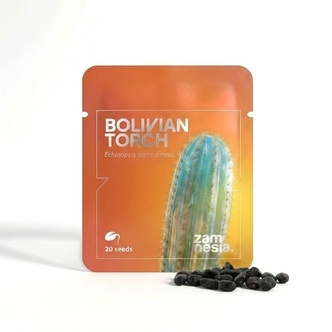 Bolivijsk&aacute; pochodeň (Echinopsis lageniformis) 20 semen