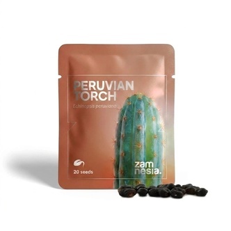 Peru&aacute;nsk&aacute; pochodeň (Echinopsis peruviana) 20 semen