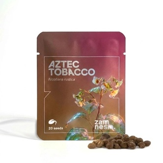 Azt&eacute;ck&yacute; tab&aacute;k (Nicotiana rustica) 20 semen