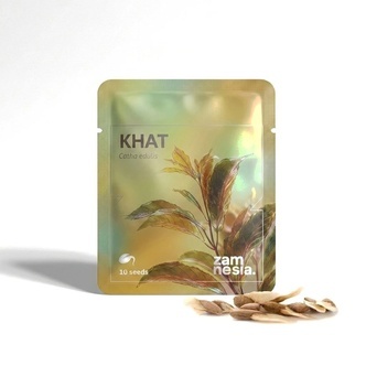 Khat (Catha edulis) 10 sem&iacute;nek