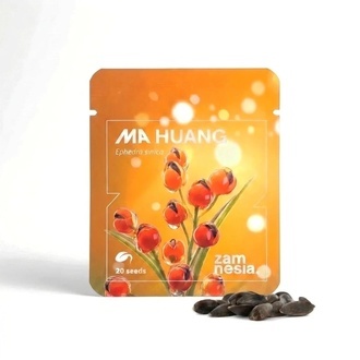 Ma Huang Seeds (Ephedra sinica) 20 Semen