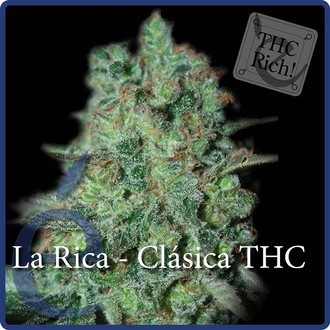 La Rica Classic THC (Elite Seeds) feminizovan&aacute;