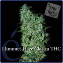 Llimonet Haze Classic THC (Elite Seeds) feminizovaná