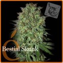 Bestial Skunk (Elite Seeds) feminizovaná