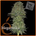 Meganuska (Elite Seeds) feminizovaná