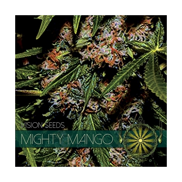 Mighty Mango Bud (Vision Seeds) feminizované
