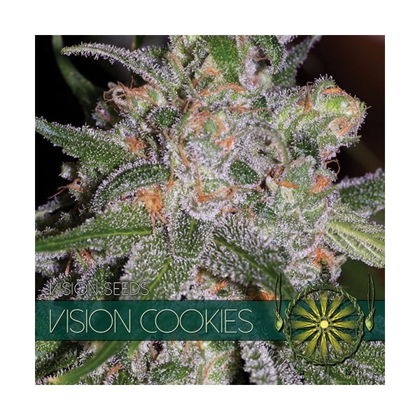 Vision Cookies (Vision Seeds) feminizované