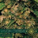 Vision Critical Samonakvétací (Vision Seeds) feminizovaná