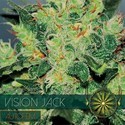 Vision Jack Samonakvétací (Vision Seeds) feminizovaná